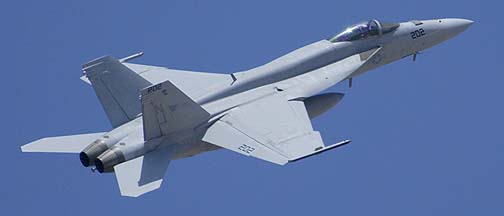 Boeing-McDonnell-Douglas F/A-18F Super Hornet #202 of VFA-122 Flying Eagles